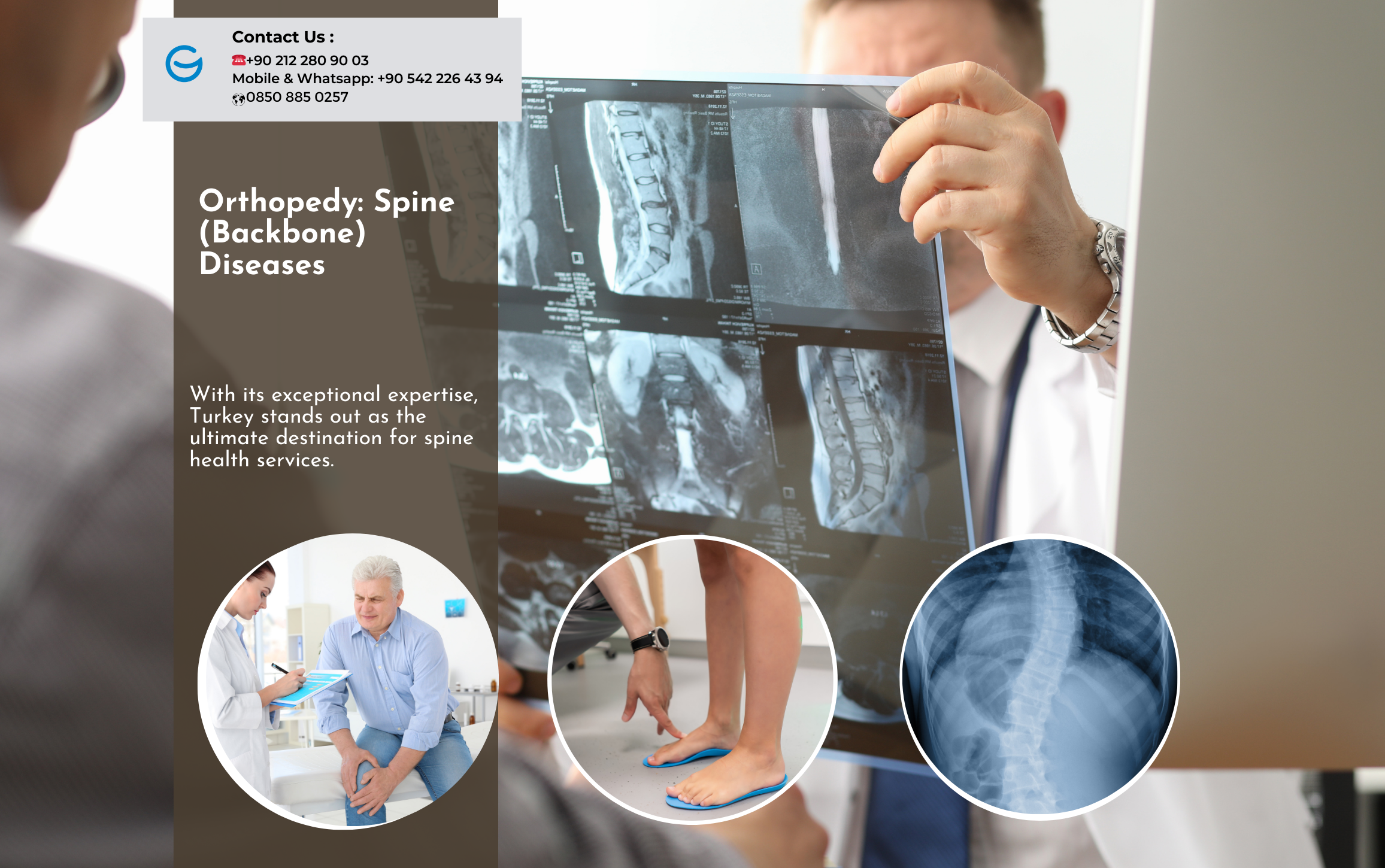 Ortopedia: Enfermedades de la Columna Vertebral